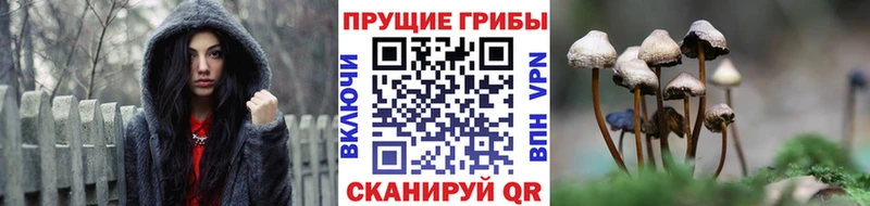 Псилоцибиновые грибы мухоморы  Купить где  Волгореченск 